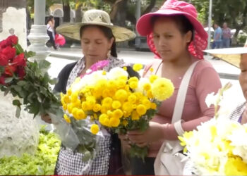 Floricultores envían 15 toneladas de flores a través del puente aéreo