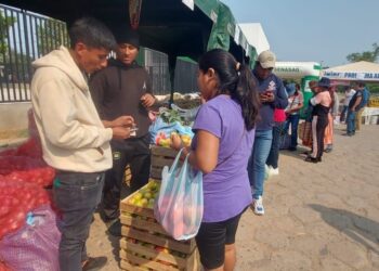‘Del Campo a la Olla’ concluyó con 69 ferias nacionales en 2024 y una comercialización de 855 toneladas