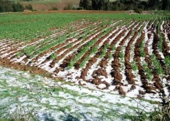 Granizadas y heladas afectan a seis departamentos