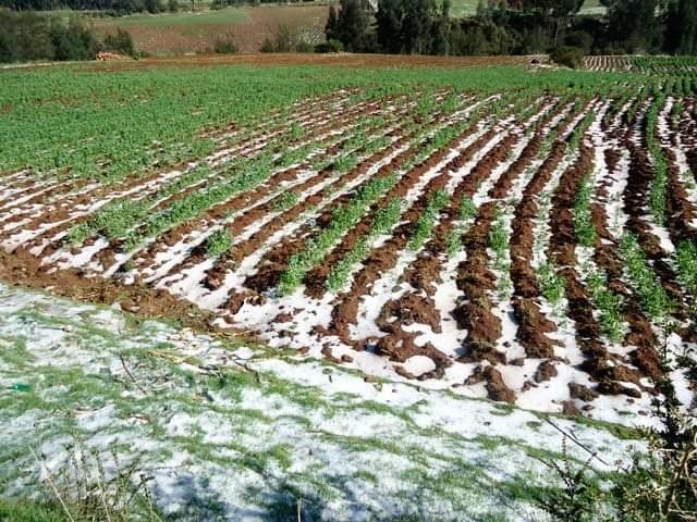 Granizadas y heladas afectan a seis departamentos
