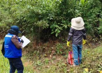 Salud reporta 23 casos de hantavirus, la mayoría en La Paz