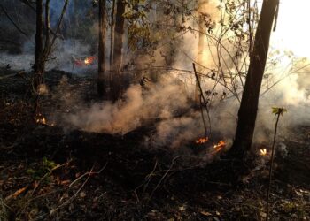 Por el humo e incendios, Pando suspende el desfile de su aniversario