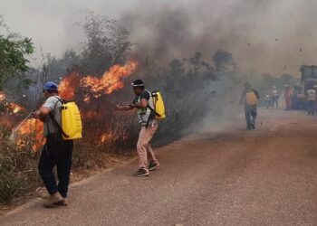 Cinco personas están con detención preventiva por causar incendios