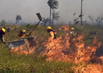 La Defensoría del Pueblo logra tutela para proteger derechos afectados por los incendios
