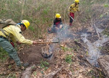 A la fecha, el fuego destruyó 41 viviendas en el país