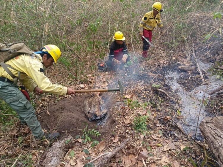 A la fecha, el fuego destruyó 41 viviendas en el país