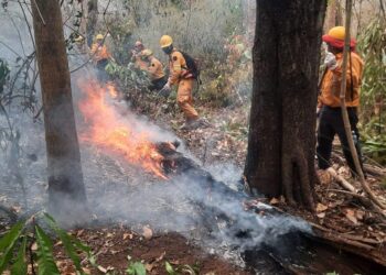 Persisten 39 focos de fuego y Santa Cruz pide declarar desastre nacional