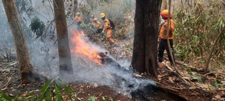 Persisten 39 focos de fuego y Santa Cruz pide declarar desastre nacional