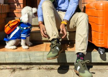 EcoAguinaldo: El ahorro que cuida tu dinero y futuro con AMOR