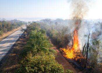 Incendios y expansión agrícola en Bolivia
