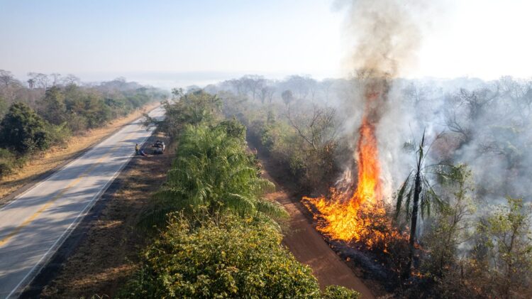Incendios y expansión agrícola en Bolivia