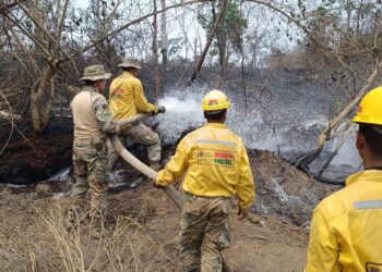 Bomberos trabajan en la sofocación de incendios en Santa Cruz.