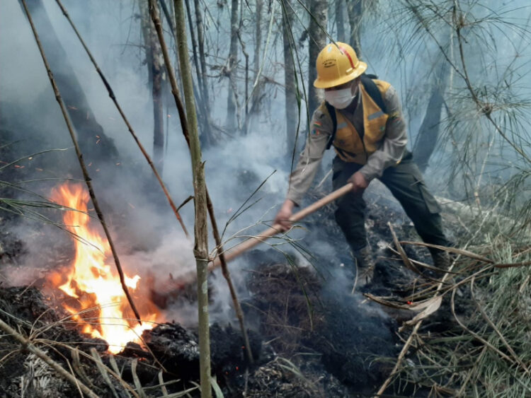 incendios