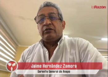 Anapo: La suspensión de exportaciones de soya afecta a productores y a la economía boliviana