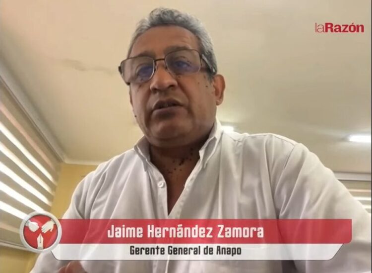 Anapo: La suspensión de exportaciones de soya afecta a productores y a la economía boliviana