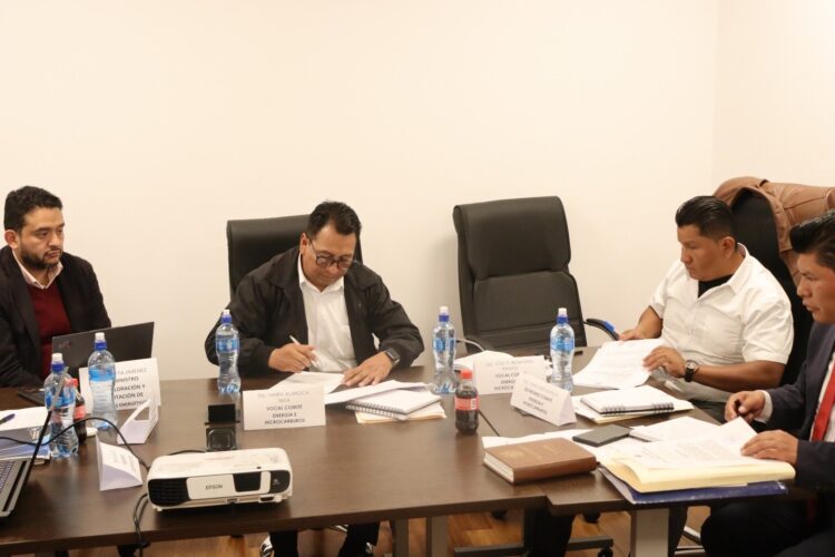 Comisión de Diputados aprueba los dos contratos millonarios para industrializar el litio