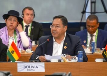 Arce anuncia una pausa de 10 años en zonas quemadas para reforestarlas