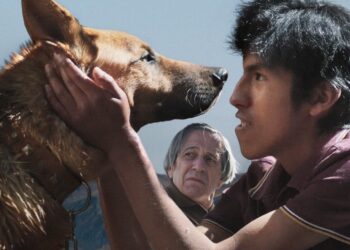 El ladrón de perros, de Vinko Tomičić