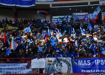MAS posterga congreso para modificar su estatuto y anuncia que invitará a Andrónico