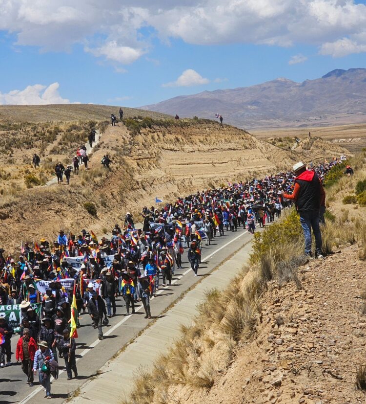 Marcha del MAS evista acude al jefe de la ONU para su ‘intervención’ en la crisis