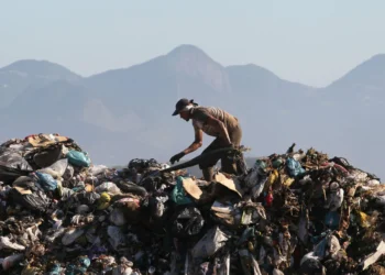 Sudamérica y el reto de reducir las emisiones de metano