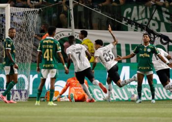 Botafogo vence al Palmeiras y recupera el liderato en solitario del Brasileirao