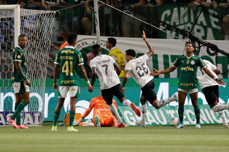 Botafogo vence al Palmeiras y recupera el liderato en solitario del Brasileirao