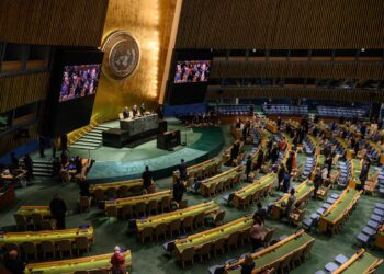 La Asamblea General de la ONU