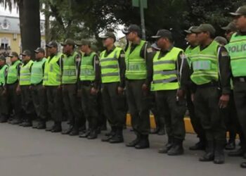 Dos hombres son aprehendidos en Caranavi por herir a policías y amenazar a civiles