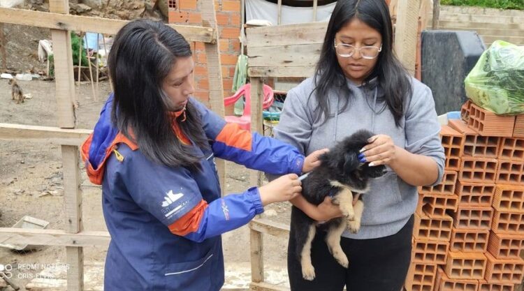 Un nuevo caso de rabia es reportado en Sucre