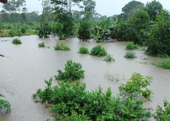 Ardua búsqueda en Cochabamba tras la caída de un hombre al río Sacta