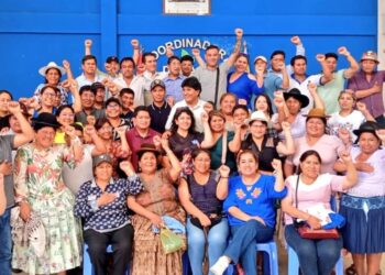 Según Morales, unas 3.000 personas lo cuidan en Lauca Ñ y llegan con sus propios recursos