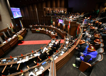 Senadores denuncian que artículos de la Ley del PGE viola la Constitución