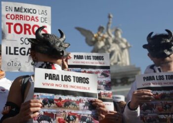 Congreso prohíbe corridas con muerte del toro en México