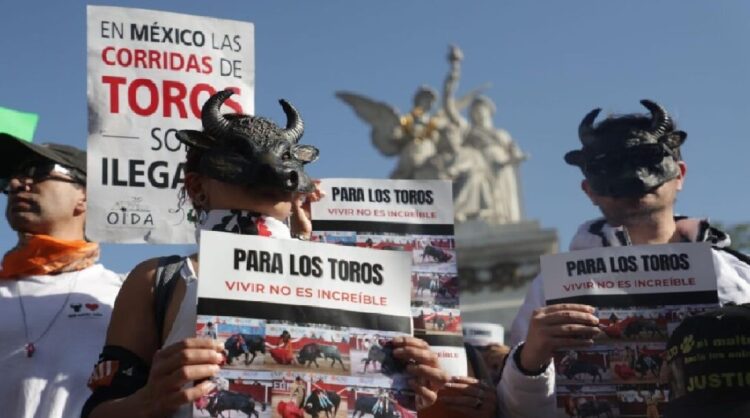Congreso prohíbe corridas con muerte del toro en México