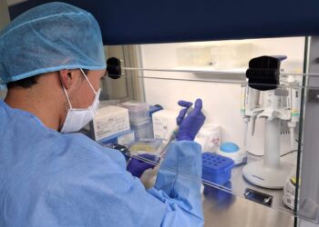 En 2024 se detectó un promedio de 799 casos de tuberculosis por mes