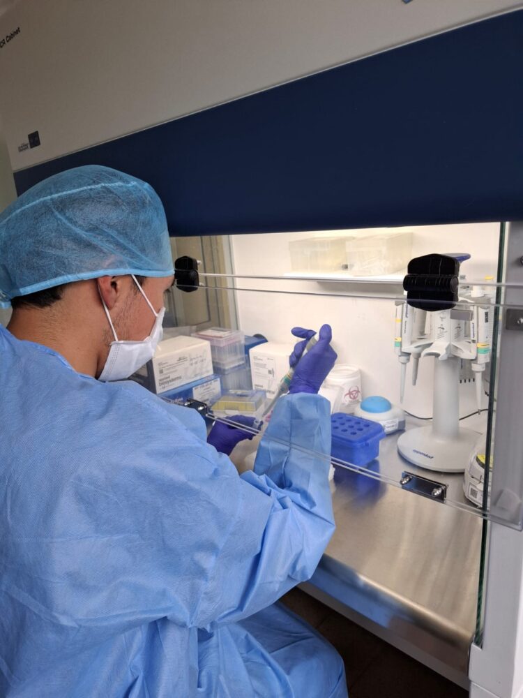 En 2024 se detectó un promedio de 799 casos de tuberculosis por mes