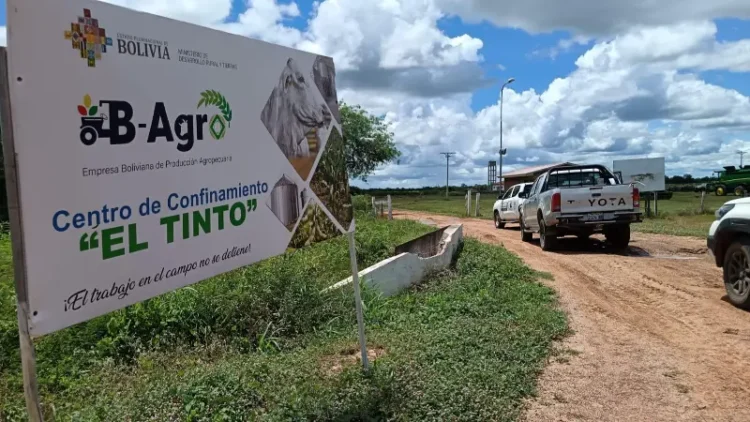 El Tinto