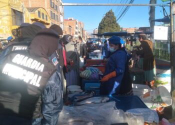 La Alcaldía de El Alto reporta hallazgo de pescados en mal estado y de contrabando