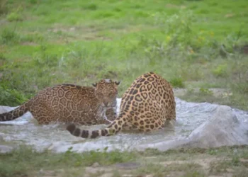 El bioparque Vesty Pakos cuenta con nuevos espacios