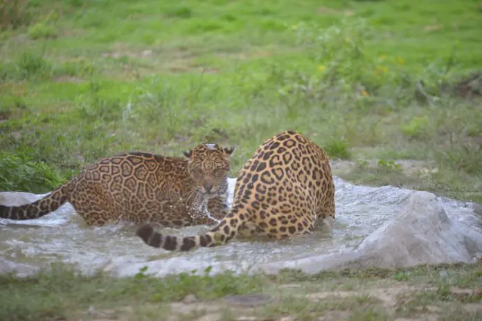 El bioparque Vesty Pakos cuenta con nuevos espacios