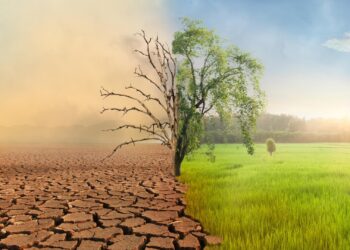 Cambio climático: ¿nos estamos autoengañando?