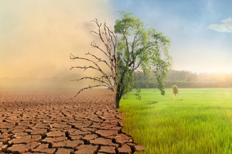 Cambio climático: ¿nos estamos autoengañando?