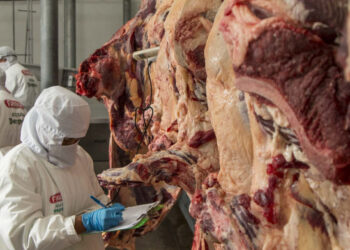 carne