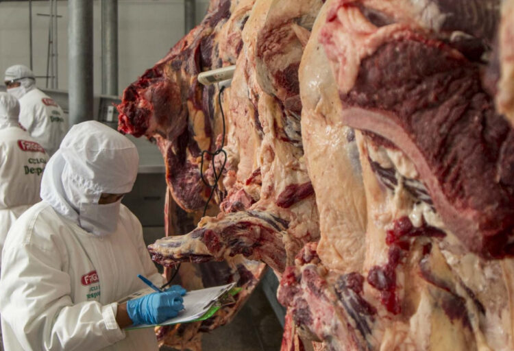 carne