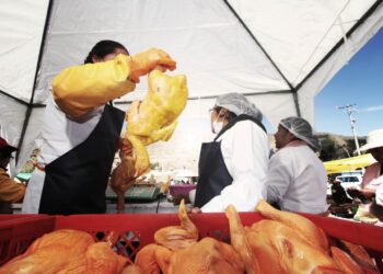 pollo