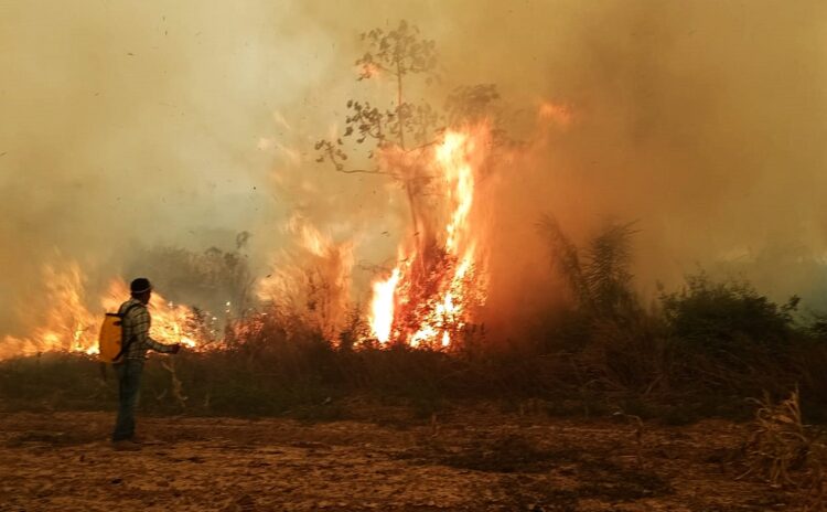 incendios