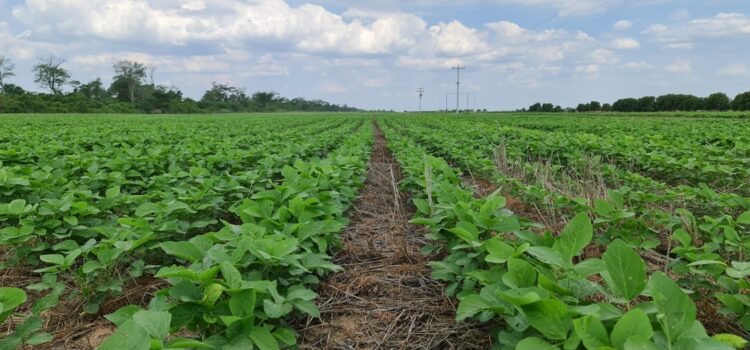 productores