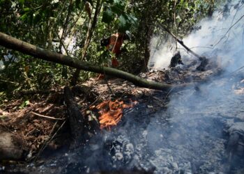 Incendios en los Yungas de La Paz afectan a Caranavi, Coroico e Irupana