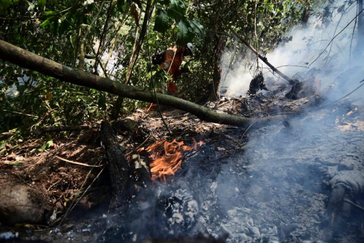 Incendios en los Yungas de La Paz afectan a Caranavi, Coroico e Irupana